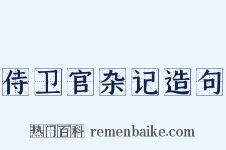 侍卫官杂记造句是什么意思的图片